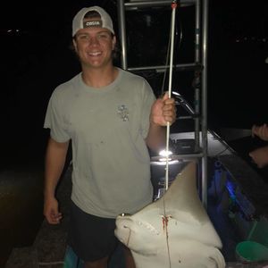 Meet your Posher, Brayden